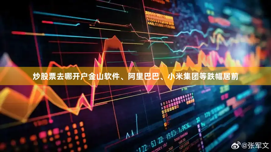 炒股票去哪开户金山软件、阿里巴巴、小米集团等跌幅居前