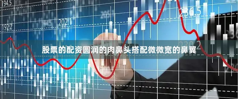 股票的配资圆润的肉鼻头搭配微微宽的鼻翼