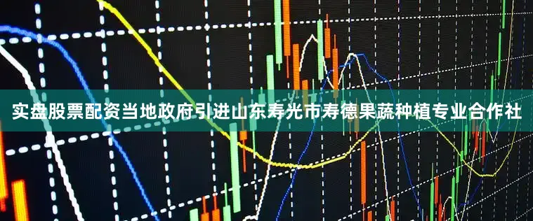 实盘股票配资当地政府引进山东寿光市寿德果蔬种植专业合作社