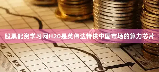 股票配资学习网H20是英伟达特供中国市场的算力芯片