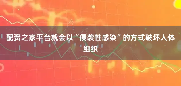配资之家平台就会以“侵袭性感染”的方式破坏人体组织
