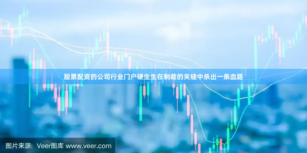 股票配资的公司行业门户硬生生在制裁的夹缝中杀出一条血路